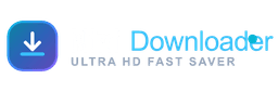 Nini Downloader